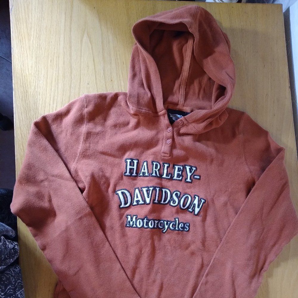 Vintage Harley-Davidson Spell Out Hoodie